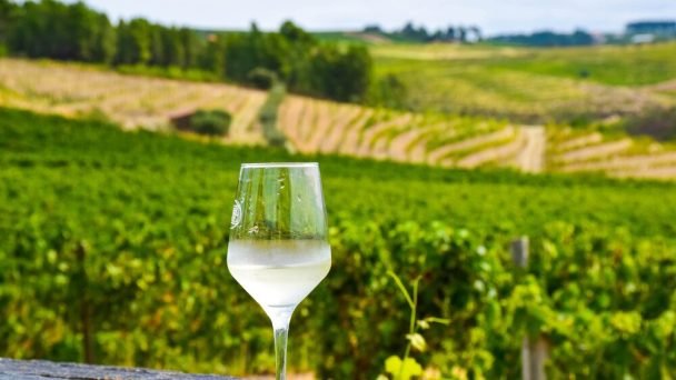 vale-do-douro-quinta-da-avessada-prova-vinho